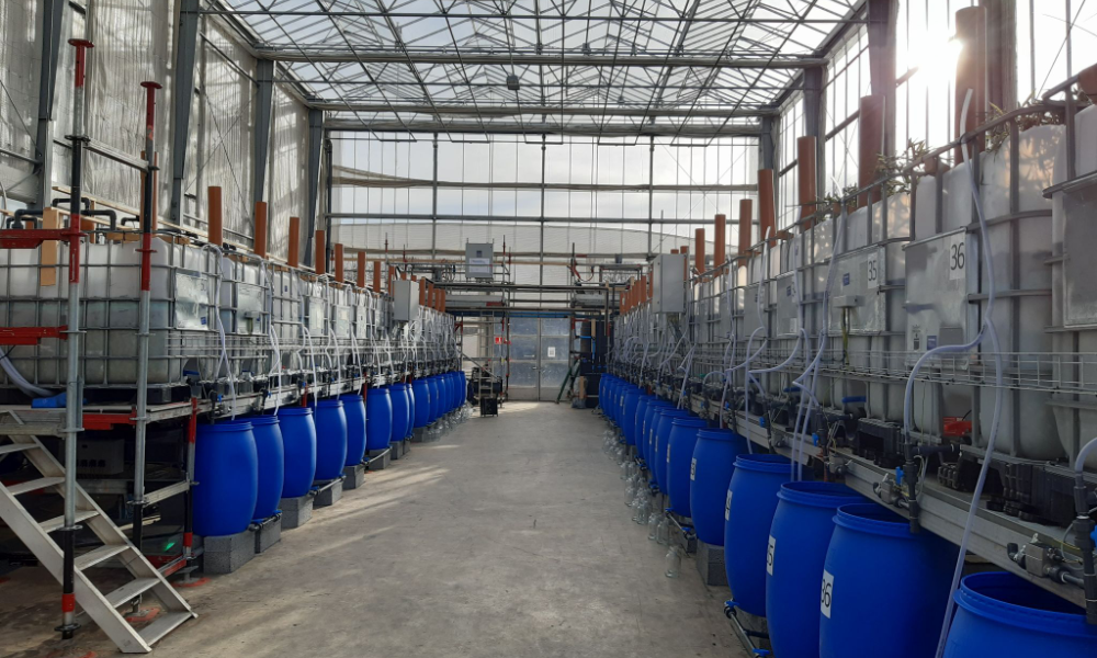 Kompakt, kosteffektiv og nøjagtig: AF-E 400 er det ideelle valg til præcise målinger på begrænset plads Kompakt, kosteffektiv og nøjagtig: AF-E 400 er det ideelle valg til præcise målinger på begrænset plads