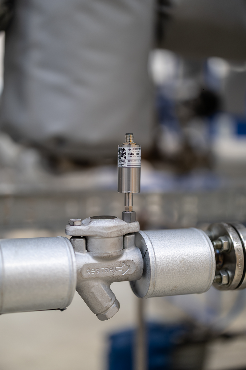 Gestra ecoBolt Gestra ecoBolt